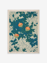 Botanical pomegranate poster with vibrant orange pomegranates amidst blue-green leaves on a light patterned background.