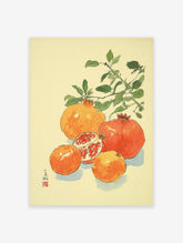 Japanese style pomegranate botanical illustration art print featuring red and orange pomegranates with green leaves.
