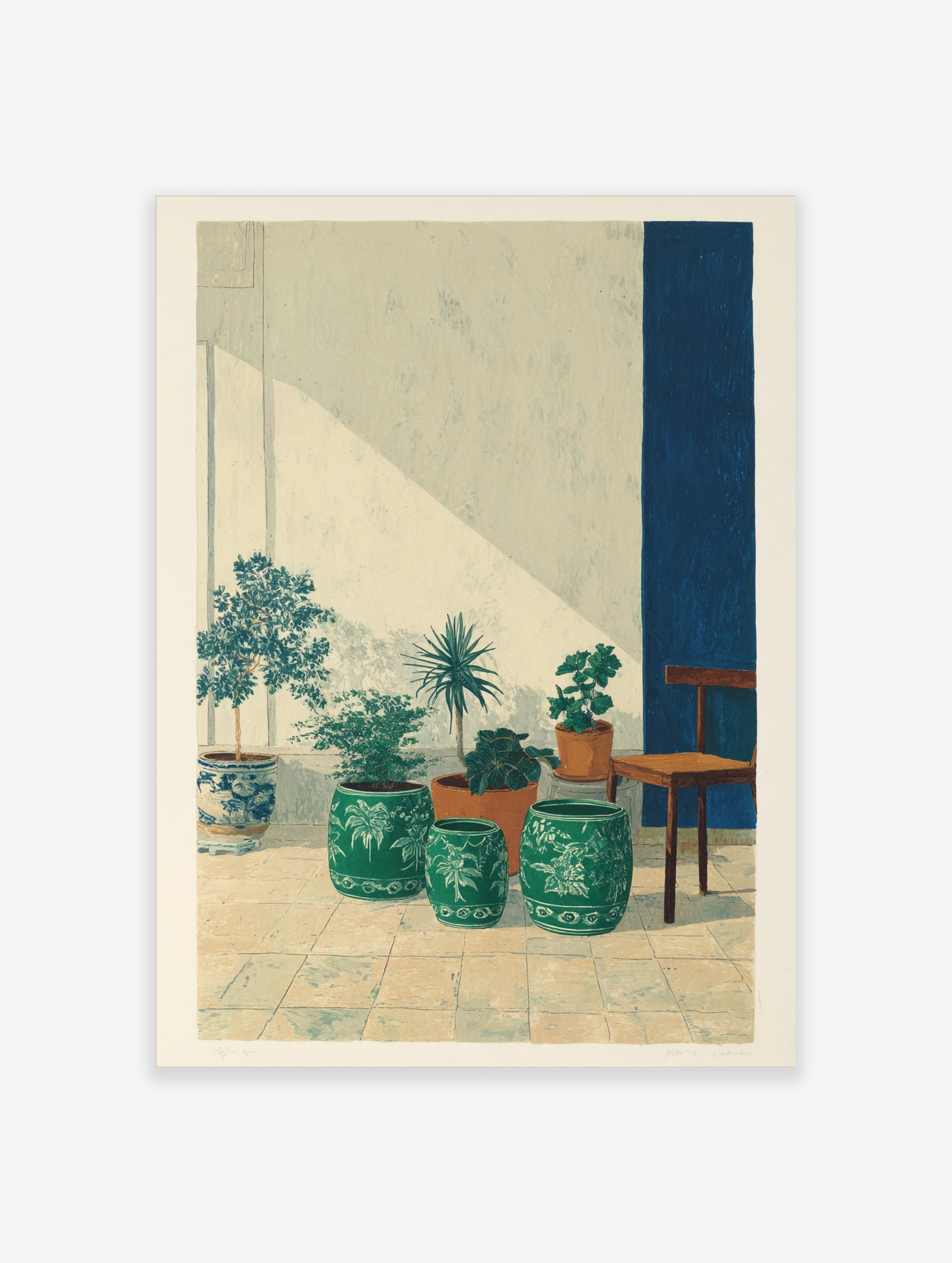 Potted plants in ceramic and terracotta pots with a wooden chair and blue wall stripe in a sunlit patio