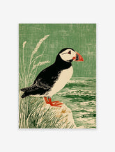 Illustrative print of a puffin bird with a red beak, standing on a rock by water and green grass
