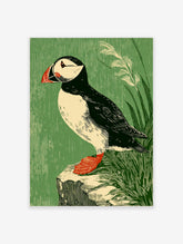 Illustrative puffin bird art print with black, white, red, and green tones, perched on a rock with grass