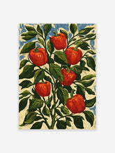 Red bell pepper plant illustration with six peppers and green leaves on blue and cream background