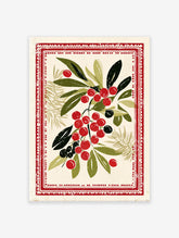 Red berry botanical illustration wall art with green leaves and a decorative red border on a cream background, vintage style.