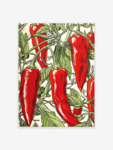 Red Chili Pepper Poster, vintage botanical illustration of vibrant red peppers and green leaves on a white background.