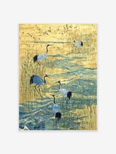 Illustrative print of red-crowned cranes wading in blue water amongst golden reeds with flying birds