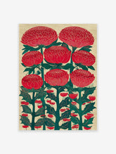 Red Waratah-style flower botanical illustration wall art print with green leaves on a textured beige background.