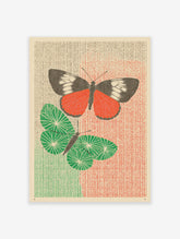 Red and green butterfly poster with two stylized insects on a textured striped background, one red, one green.