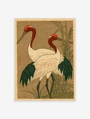 Japanese illustrative print of two red-headed cranes with white bodies and dark wings, standing in green reeds