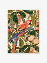 Red macaw parrot perched among green leaves and pink fruit on a cream background, colourful tropical bird art print