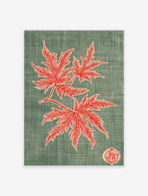 Red maple leaves botanical illustration with branch and Japanese seal on a textured teal background