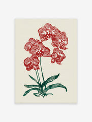 Red orchid botanical illustration wall art print with green leaves on a cream background
