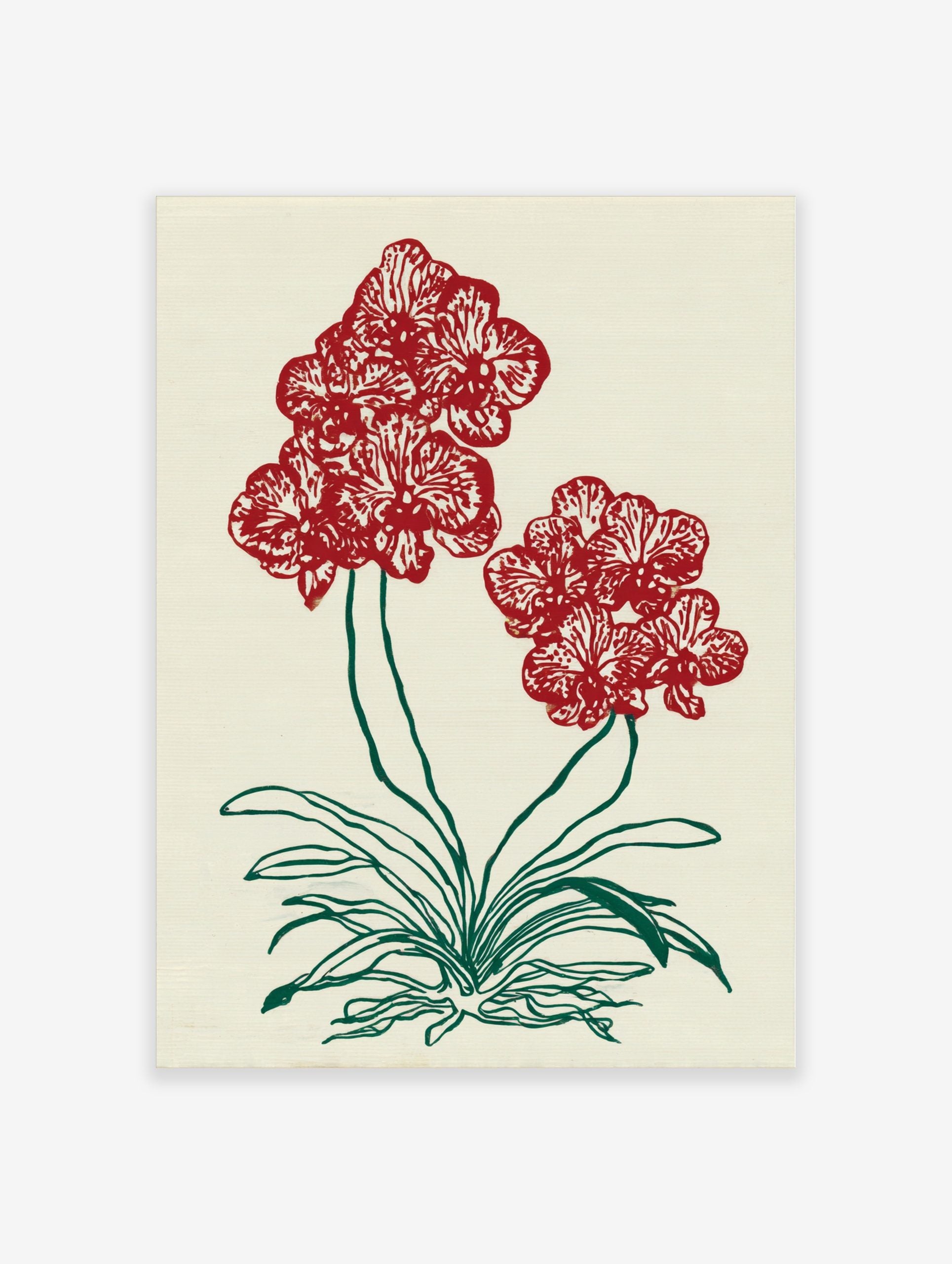 Red orchid flower botanical illustration art print with green stems and leaves on a light background