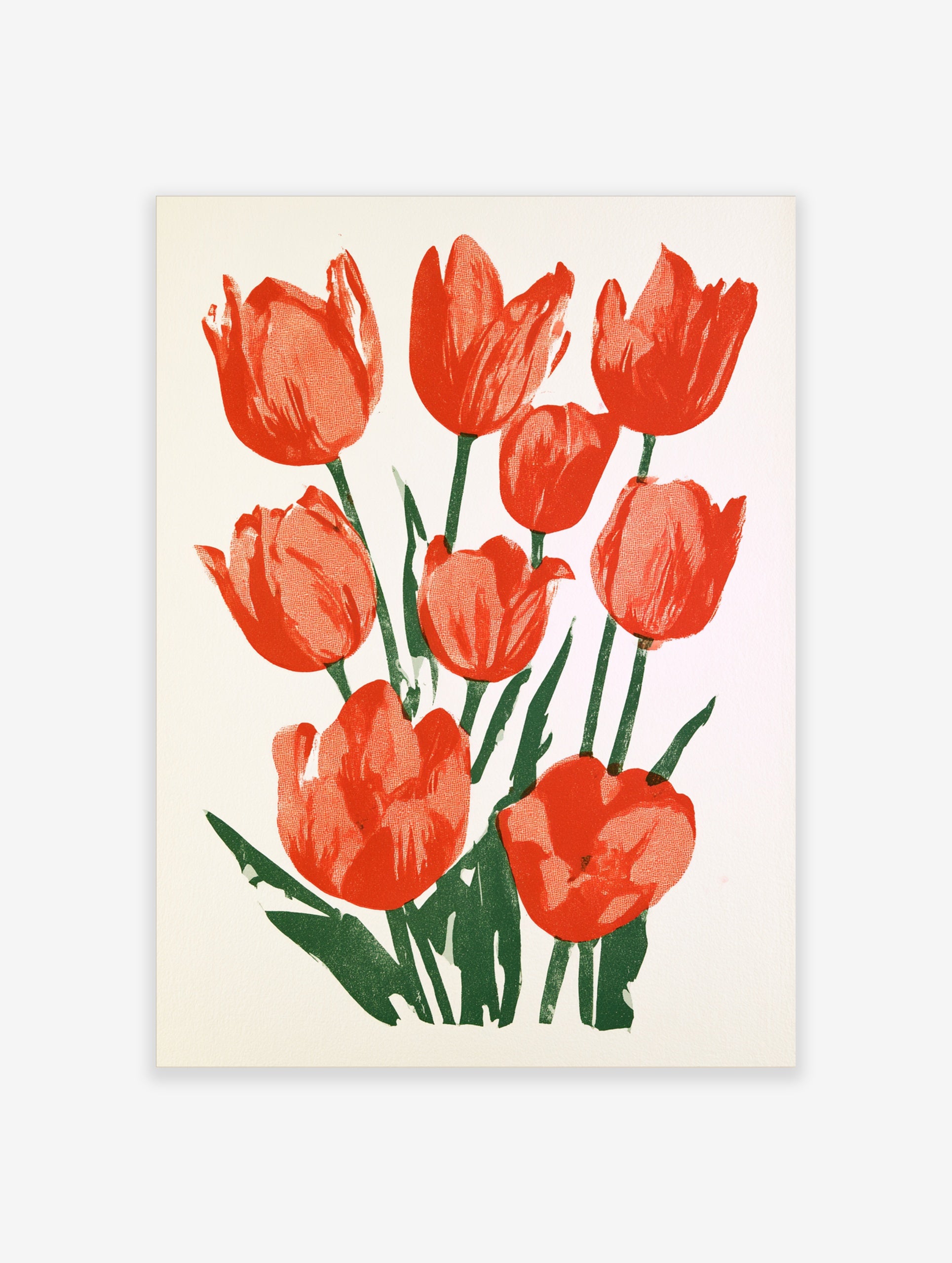 Red tulip flower botanical illustration with green stems and leaves on a clean white background as an unframed paper print