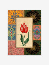 Red tulip with white streaks and green leaves framed by ornate Islamic tile patterns in orange, blue and pink