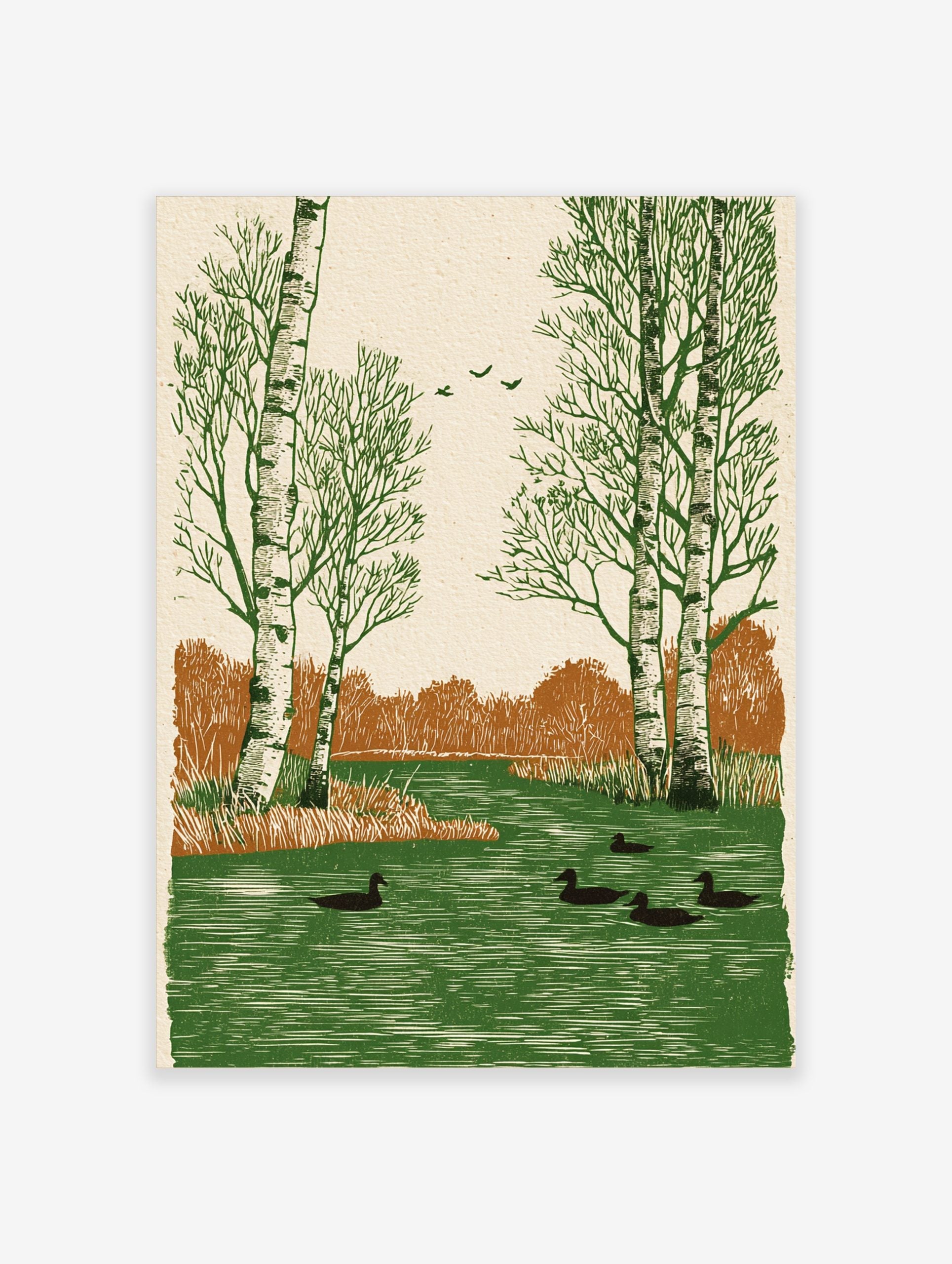 Woodcut style art print of birch trees and ducks swimming in a green river with brown foliage