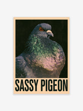 Sassy Pigeon poster with close-up pigeon portrait, green and purple feathers, and bold black text on dark background