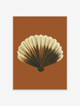Detailed illustrative print of a scallop shell in brown and cream tones against a rust background