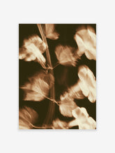Sepia leaf motion blur art print with soft focus botanical forms on dark background