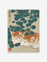 Japanese Shiba Inu wall art print depicting two sleeping orange and white dogs among blue-green leaves on a textured background.