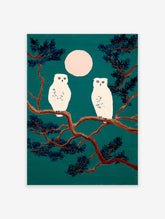 Snowy owl art print featuring two white owls on a pine branch under a pale moon against a deep teal night sky.