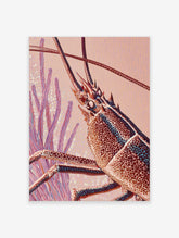 Spiny lobster with spotted shell and long antennae against pink coral background art print