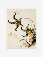 Japanese-style illustration of two spotted starfish with a red seal stamp on a light background