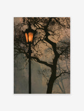 Street lamp at night with glowing light and dark tree branches against a muted sky
