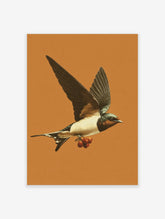 Vintage illustration of a swallow bird in flight carrying red berries against an orange background, detailed wall art print.