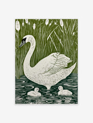 White swan and two cygnets swimming in green water with tall reeds and cattails in illustrative linocut style