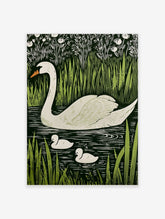 White swan and two cygnets swimming in dark water, surrounded by green reeds and white flowers, in an illustrative style