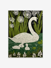 White swan and two cygnets swimming in green water with reeds and white flowers against a dark background