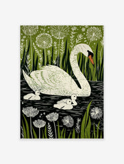 Illustrative print of a white mother swan and three cygnets in dark water, surrounded by green reeds and white dandelion