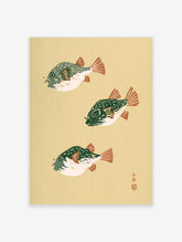 Three pufferfish in Japanese woodblock style with green bodies and orange fins on a cream background