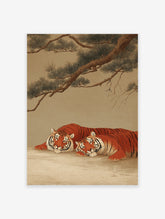 Two majestic orange and black striped tigers resting under a green pine tree, in a traditional Asian art style illustration.