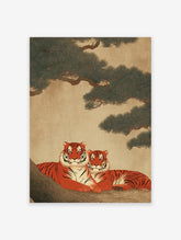 Two orange and black striped tigers resting under a dark green pine tree, depicted in a traditional Asian art style. Tiger wall art.