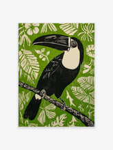 Illustrative black toucan with cream chest and large beak on branch against green background with white leaves