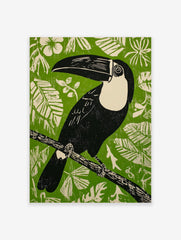 Illustrative black toucan with cream chest and large beak on branch against green background with white leaves