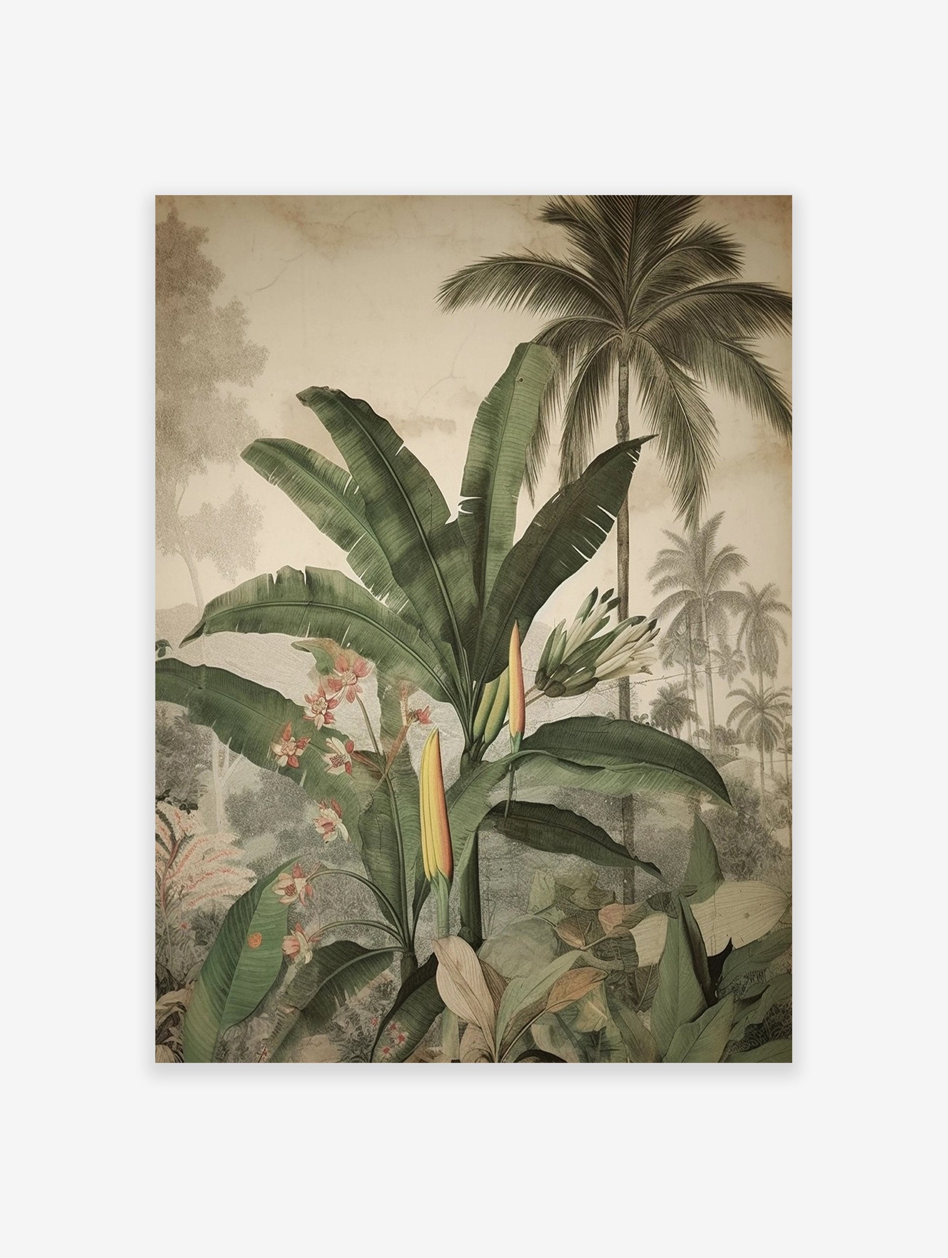 Tropical botanical poster featuring lush green banana leaves, pink flowers, and distant palm trees in a vintage illustration style.