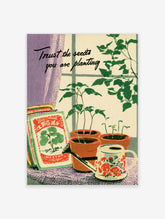 Botanical poster of seedlings in terracotta pots, seed packets, watering can, and cursive text on a windowsill