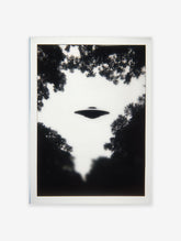 Black and white photographic UFO wall art print with a flying saucer in the sky framed by dark tree silhouettes.