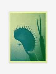 Graphic botanical illustration of a Venus flytrap plant with a fly, in green and yellow gradient on a light background