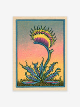 Vintage style botanical illustration of a Venus Flytrap with yellow and pink leaves against a gradient background