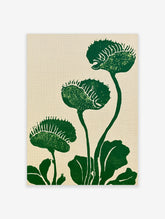 Green Venus Flytrap botanical illustration print on a light beige background
