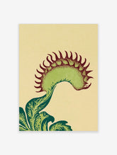 Detailed illustrative Venus Flytrap botanical print with green leaves and reddish spikes on a cream background