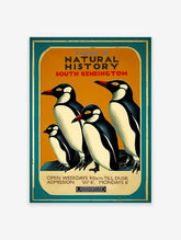 Vintage Natural History Museum poster featuring four illustrated penguins with orange background and teal border