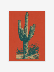 Illustrative Saguaro cactus print in dark teal and beige against a vibrant reddish-orange background, desert style