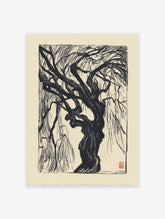 Black and white woodcut print of a gnarled weeping willow tree. Dramatic botanical tree wall art on a light background.