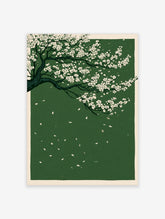 White cherry blossom branches with dark limbs and falling petals on a deep green background art print