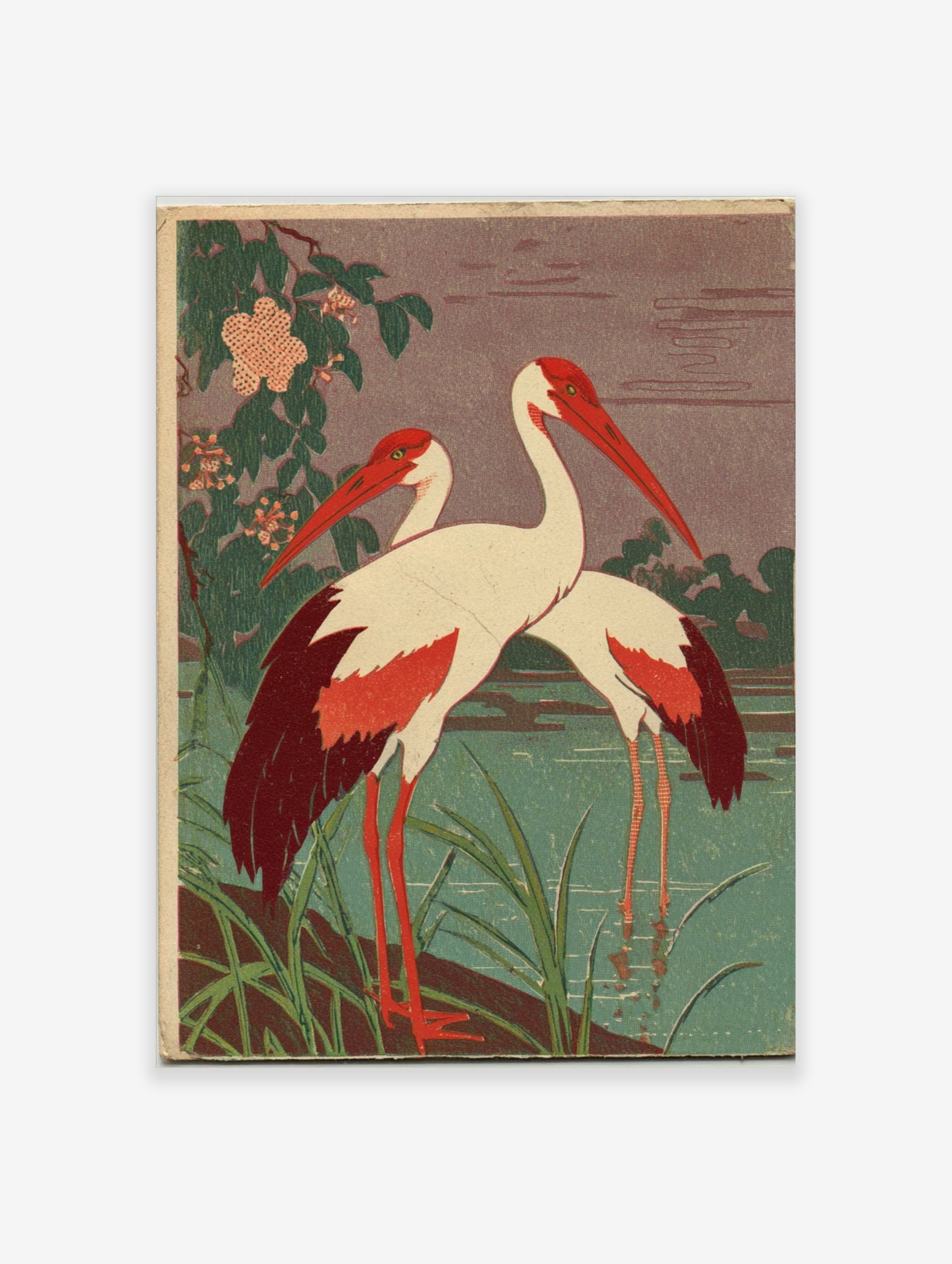 Two white cranes with red heads and wing tips standing in green water with foliage and pink flowers