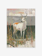 White deer with antlers standing in tall reeds, painterly style art print